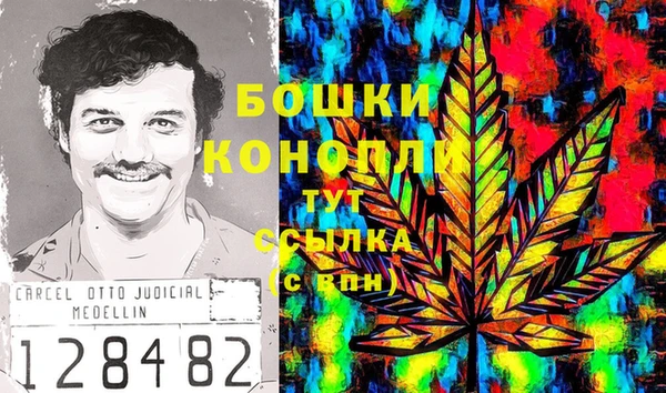 трава Магас