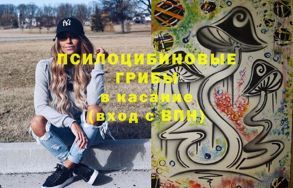 МДПВ Майский