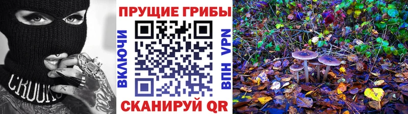Псилоцибиновые грибы мухоморы Сольвычегодск